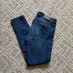 Joe's Jeans Blue Skinny Denim